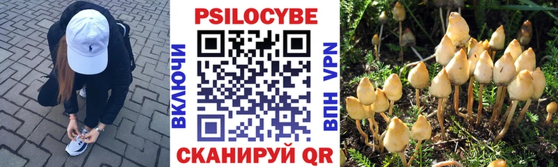 Купить закладки  Ейск  Псилоцибиновые грибы Psilocybine cubensis 
